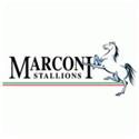 Marconi Stallions