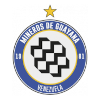 Mineros de Guayana