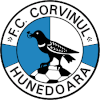 Corvinul Hunedoara