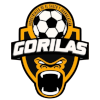 Gorilas de Juanacatlan II