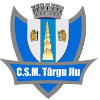 CSM Targu Jiu
