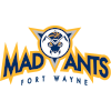 Fort Wayne Mad Ants