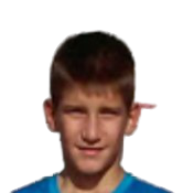 Andrej Nedic