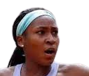 Gauff Cori (Srl)