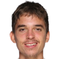 Dino Prizmic