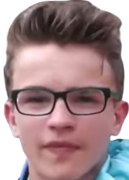 Raphael Perot