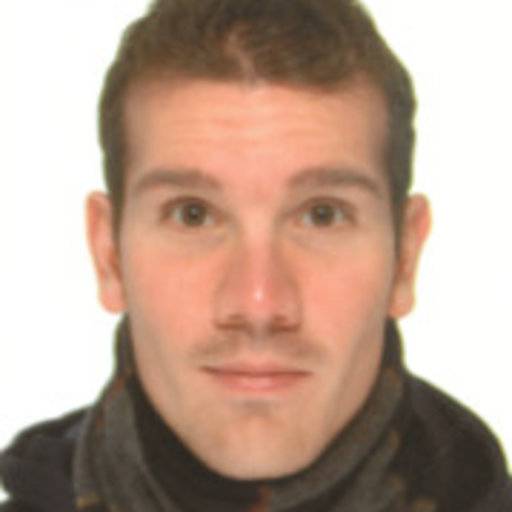 Andrea Guerrieri