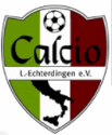 Calcio Leinfelden-Echterdingen
