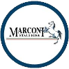 Marconi Stallions U20