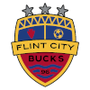 Flint City AFC (W)