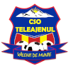 CSO Teleajenul Valeni de Munte