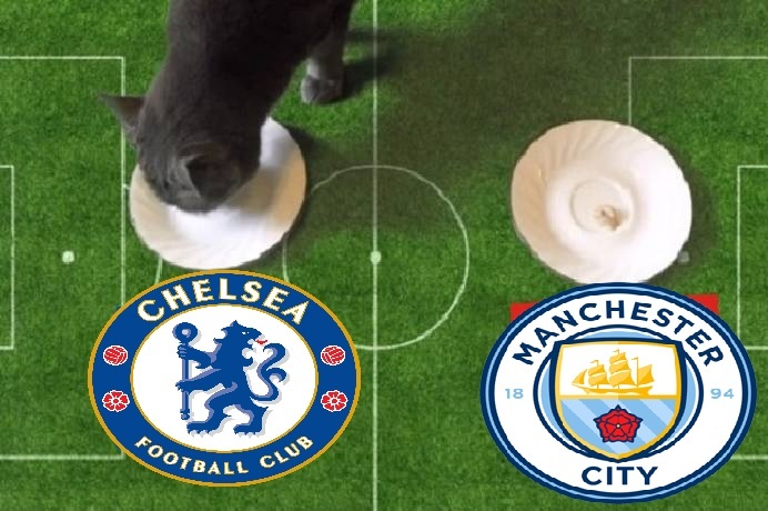 Tiên tri mèo Cass dự đoán Chelsea vs Man City, 18h30 ngày 25/9 - Ảnh 2