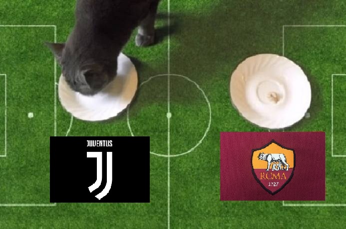 Tiên tri mèo dự đoán Juventus vs Roma, 1h45 ngày 18/10 - Ảnh 1
