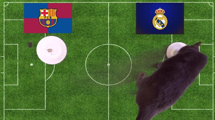 Tiên tri mèo dự đoán Barcelona vs Real Madrid, 21h15 ngày 24/10 - Ảnh 1