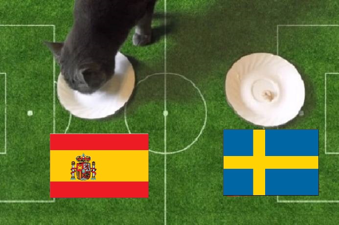 Tiên tri mèo dự đoán Tây Ban Nha vs Thụy Điển, 2h45 ngày 15/11 - Ảnh 1