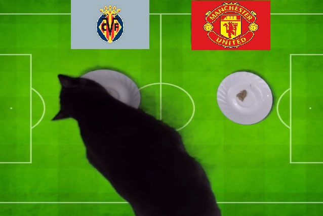 Tiên tri mèo Cass dự đoán Villarreal vs MU, 00h45 ngày 24/11 - Ảnh 1