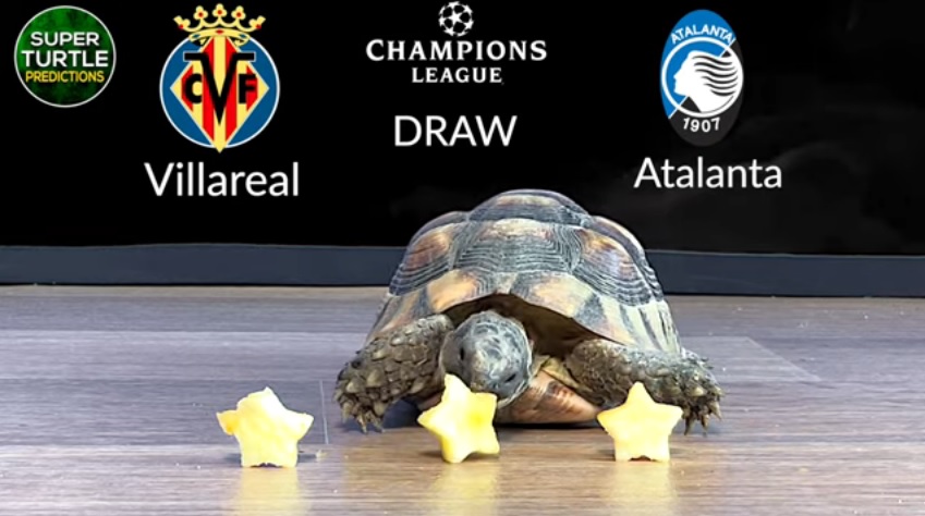 Rùa tiên tri dự đoán Atalanta vs Villarreal, 3h ngày 9/12 - Ảnh 1