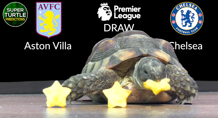 Rùa tiên tri dự đoán Aston Villa vs Chelsea, 0h30 ngày 27/12 - Ảnh 1