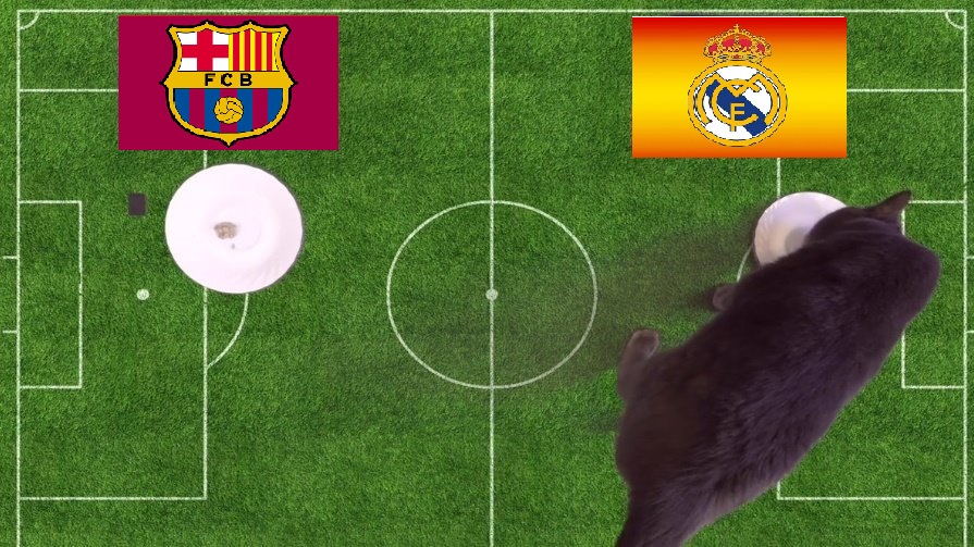 Tiên tri mèo Cass dự đoán Barcelona vs Real Madrid, 2h ngày 13/1 - Ảnh 2