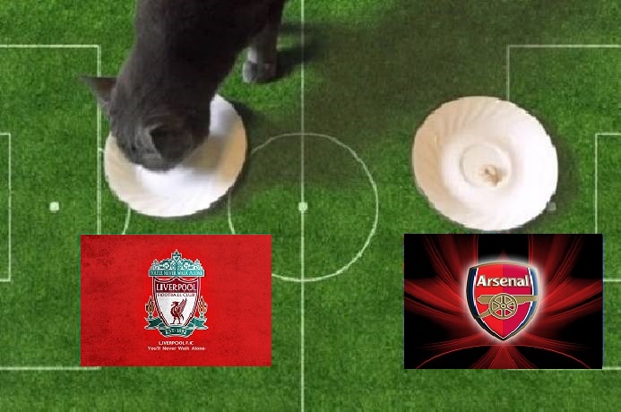 Tiên tri mèo Cass dự đoán Liverpool vs Arsenal, 2h45 ngày 14/1 - Ảnh 1