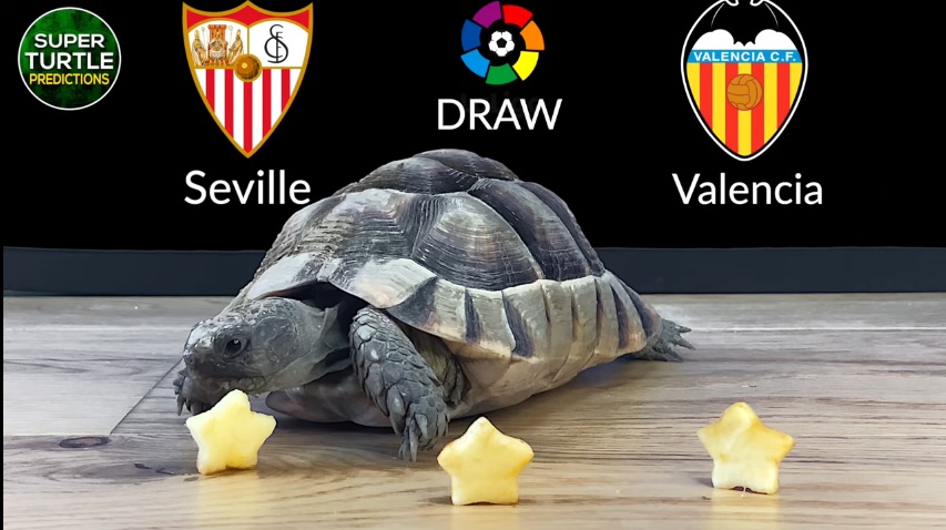 Rùa tiên tri dự đoán Valencia vs Sevilla, 3h30 ngày 20/1 - Ảnh 1