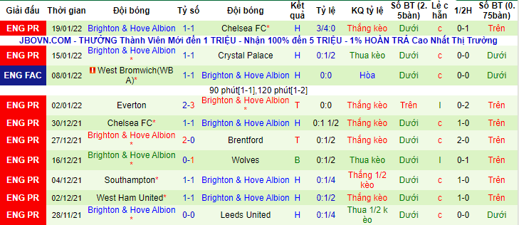 Đại bàng tiên tri dự đoán Leicester vs Brighton, 21h ngày 23/1 - Ảnh 3
