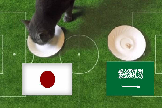 Tiên tri mèo dự đoán Nhật Bản vs Saudi Arabia, 17h10 ngày 1/2 - Ảnh 1