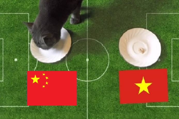 Tiên tri mèo dự đoán Việt Nam vs Trung Quốc, 19h ngày 1/2  - Ảnh 1