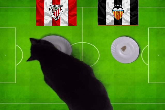 Tiên tri mèo Cass dự đoán Bilbao vs Valencia, 3h30 ngày 11/2 - Ảnh 1