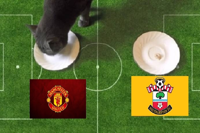 Tiên tri mèo dự đoán MU vs Southampton, 19h30 ngày 12/2 - Ảnh 1