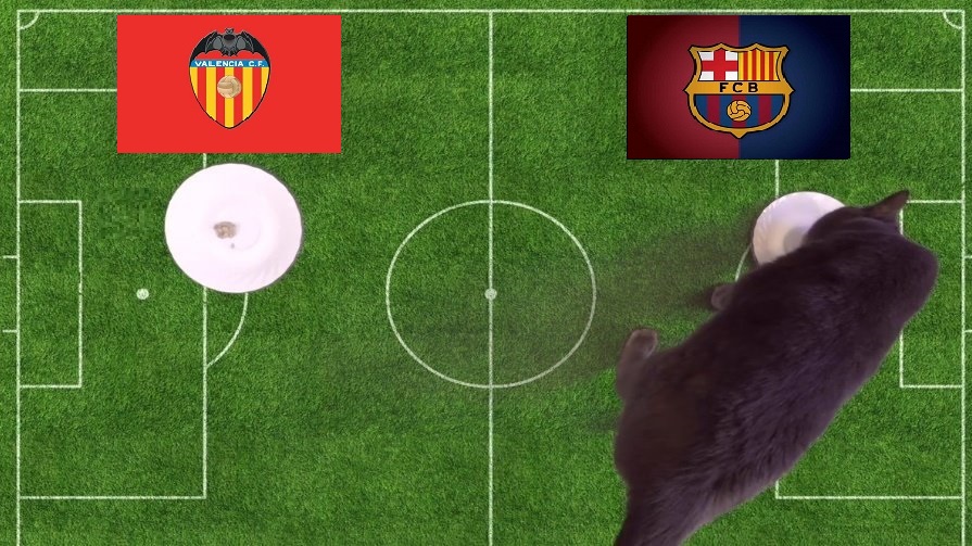 Tiên tri mèo dự đoán Valencia vs Barcelona, 22h15 ngày 20/2 - Ảnh 1
