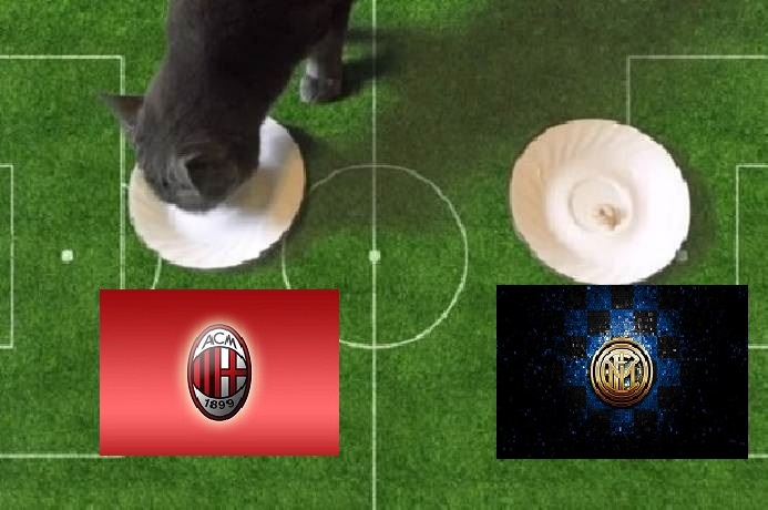 Tiên tri mèo dự đoán AC Milan vs Inter Milan, 3h ngày 2/3 - Ảnh 1