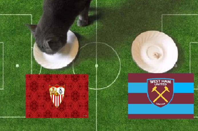 Tiên tri mèo dự đoán Sevilla vs West Ham, 0h45 ngày 11/3 - Ảnh 1