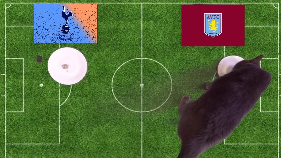 Tiên tri mèo Cass dự đoán Aston Villa vs Tottenham, 23h30 ngày 9/4 - Ảnh 1