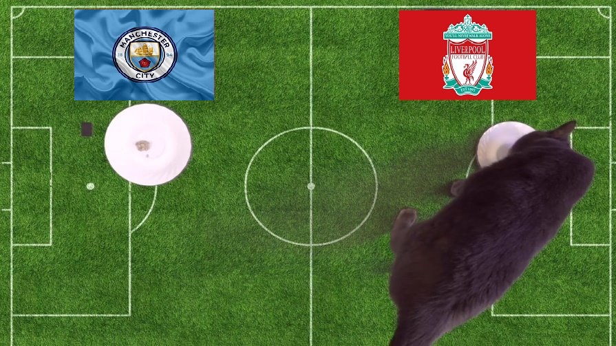 Tiên tri mèo Cass dự đoán Man City vs Liverpool, 22h30 ngày 10/4 - Ảnh 1