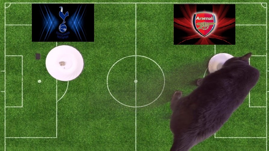 Tiên tri mèo Cass dự đoán Tottenham vs Arsenal, 1h45 ngày 13/5 - Ảnh 2