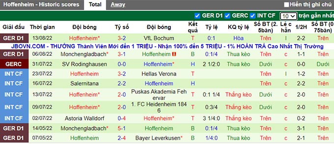 Nhận định, soi kèo Leverkusen vs Hoffenheim, 20h30 ngày 20/8 - Ảnh 2