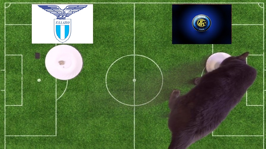 Tiên tri mèo Cass dự đoán Lazio vs Inter Milan, 1h45 ngày 27/8 - Ảnh 1