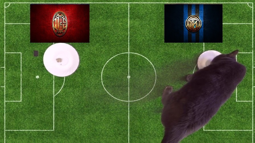 Tiên tri mèo Cass dự đoán AC Milan vs Inter Milan, 23h ngày 3/9 - Ảnh 1