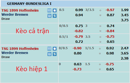 Nhận định, soi kèo Hoffenheim vs Bremen, 1h30 ngày 8/10 - Ảnh 5