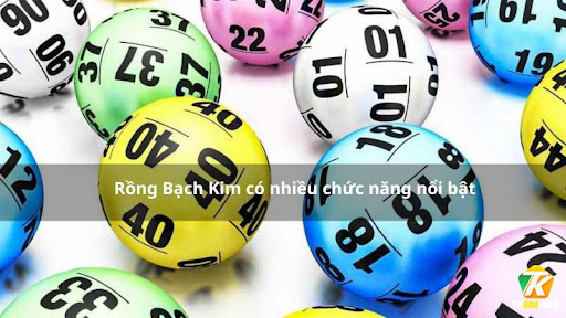 Rồng Bạch Kim và kinh nghiệm soi cầu lô đề chính xác - Ảnh 2