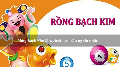 Rồng Bạch Kim và kinh nghiệm soi cầu lô đề chính xác - Ảnh 4