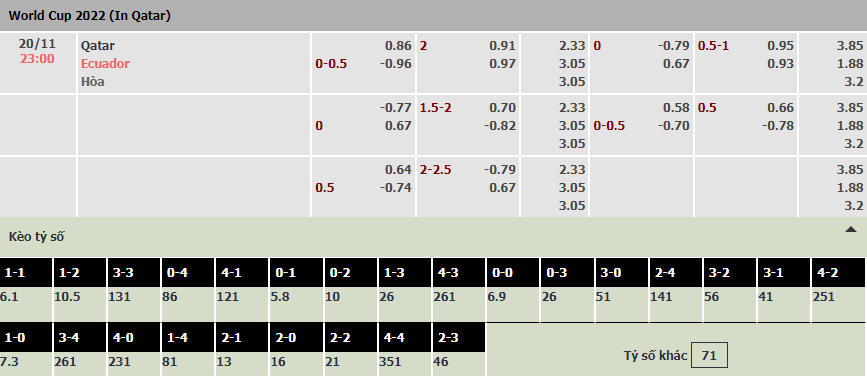 Soi bảng dự đoán tỷ số chính xác Qatar vs Ecuador, 23h ngày 20/11 - Ảnh 1