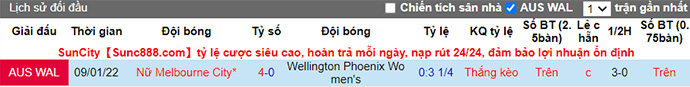 Nhận định, soi kèo Nữ Wellington Phoenix vs Nữ Melbourne City, 9h ngày 20/11 - Ảnh 3