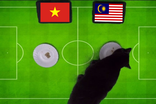 Tiên tri mèo Cass dự đoán Việt Nam vs Malaysia, 19h30 ngày 27/12 - Ảnh 1