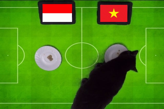 Tiên tri mèo Cass dự đoán Indonesia vs Việt Nam, 19h30 ngày 6/1 - Ảnh 1