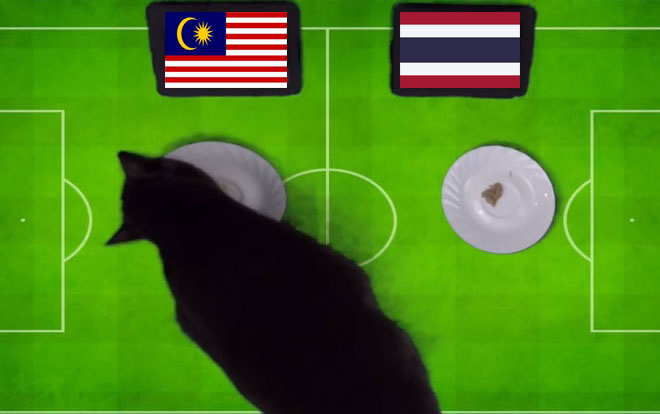 Tiên tri mèo Cass dự đoán Malaysia vs Thái Lan, 19h30 ngày 7/1 - Ảnh 1