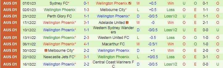 Nhận định, soi kèo Brisbane Roar vs Wellington Phoenix, 13h ngày 14/1 - Ảnh 2