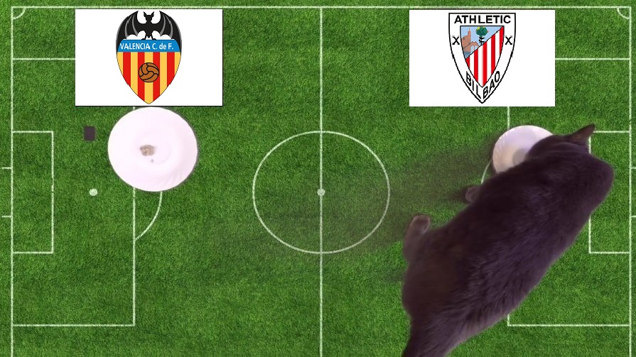 Tiên tri mèo Cass dự đoán Valencia vs Bilbao, 2h15 ngày 27/1 - Ảnh 1