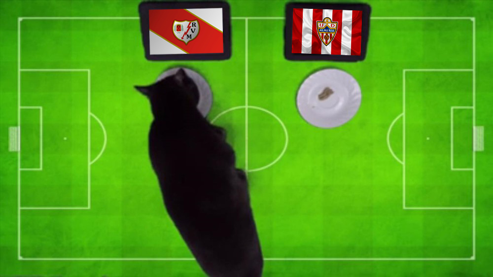 Mèo tiên tri dự đoán Vallecano vs Almeria, 3h ngày 7/2 - Ảnh 1